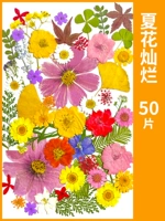 Летние цветы блестящие, сухие, 50 кусочков сухого цветочного мешка