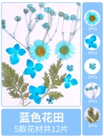 Голубое цветочное поле, сухое, 12 кусочков сухих цветочных мешков