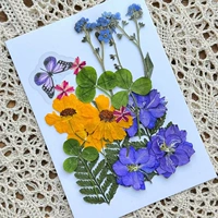 Бабочка цветок № 6 сухой сухую цветочную сумку 18 штук