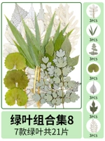 Комбинация зеленых листьев 8 21 таблетки