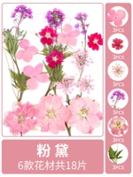 Розовый сушеный цветочный мешок 18 штук