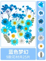 Синяя мечта сухой цветок сухой цветок 25 штук
