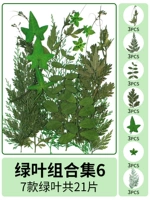 Комбинация зеленого листа 6 21 таблетки