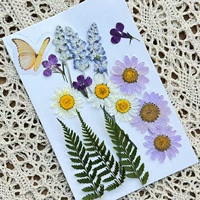 Цветок бабочки № 2 сухой сумка для цветов 15 кусочков