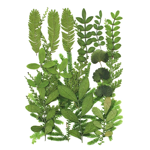 Наклейки, образец, комплект, набор материалов ручной работы против сухости, «сделай сам»