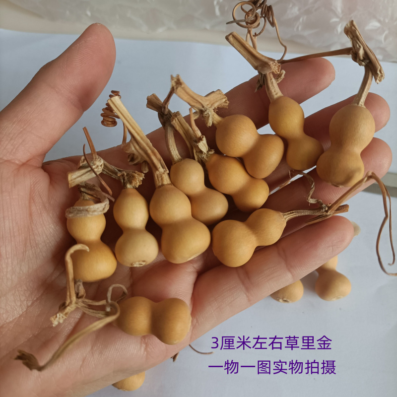 1 natural boutique iron-clad golden grass in golden hand twisted small gourd 2-3 cm to play and collect one object and one picture