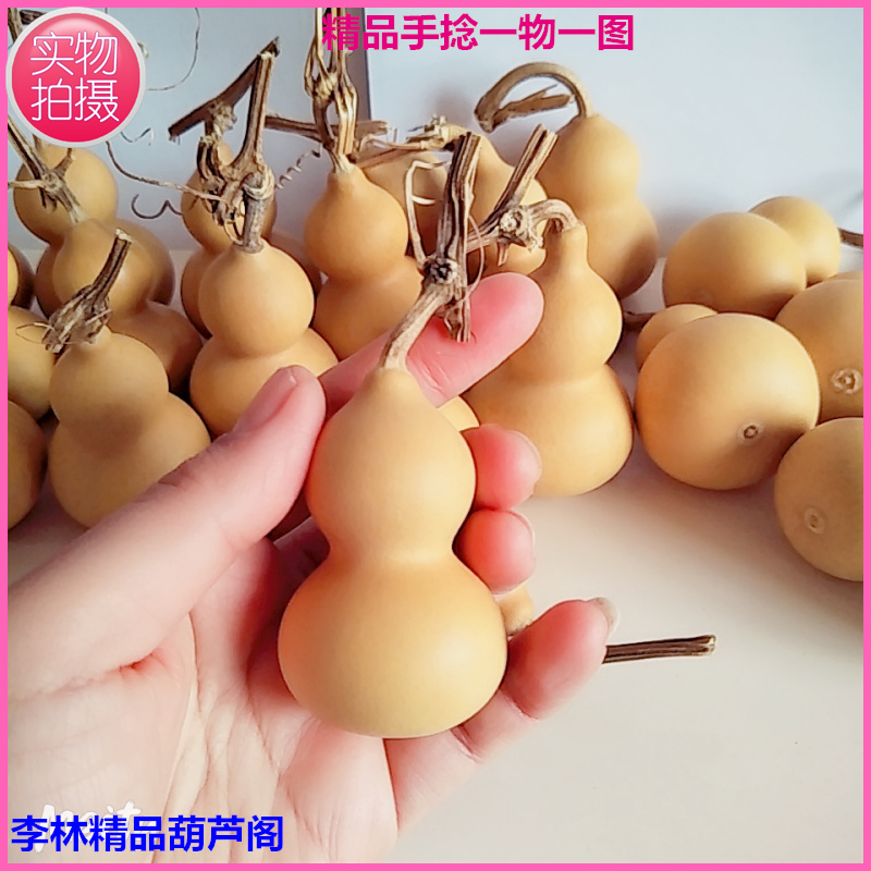 New natural boutique veteran twist gourd iron wrapped gold feng shui to play with the collection of one thing and one picture of the physical shooting