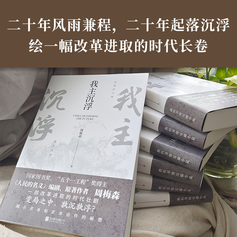 🔥阎真《沧浪之水》:官场风云,活着之上,职场生存必读🔥-官场小说-淘宝百科网