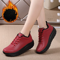 Пылаться 316 Jujube Red