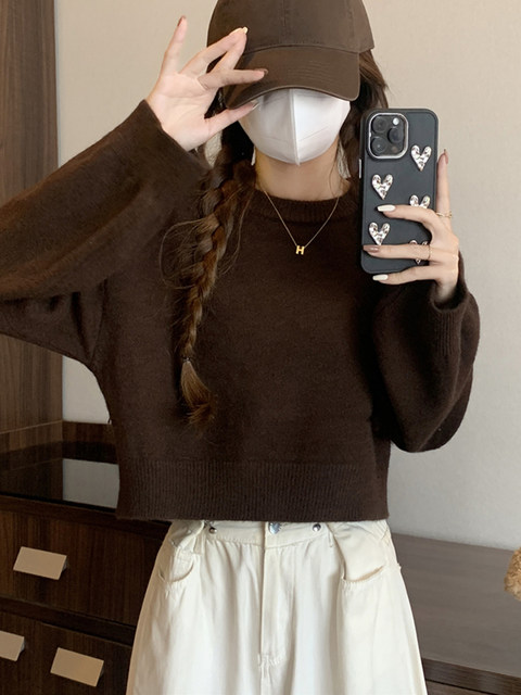 Korean Style Lazy Chic Pullover Sweater for Women 2025 Autumn and Winter Solid Color Versatile Loose Short Top for Petite Figures