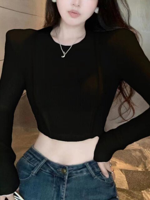 Niche Round-Neck Women's Sweater Base Shirt 2025 Autumn and Winter New Style Hot Girl Fleece-Lined Crop Top Long-Sleeve Outerwear