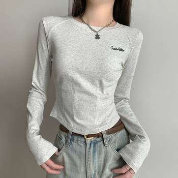 Unique Design Fishbone Round Neck Stylish Raglan T-Shirt for Women, Autumn Letter Embroidery Distinctive Pullover Short Top