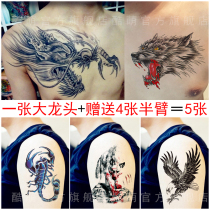 Tattoo stickers Waterproof shawl dragon chest faucet over shoulder dragon totem big picture long-lasting anti-true tattoo male tattoo stickers