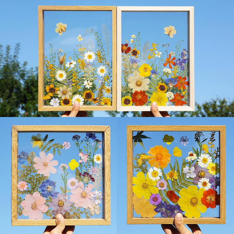 Dried Flower Pressed Flower Photo Frame Acrylic Transparent Plastic Film Handmade DIY Material Plant Leaf Specimen Glass Picture Frame