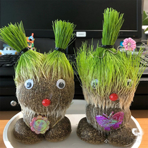 Long grass doll potted plant mini green plant water bacon with fun and good nursery diy creative observation growth