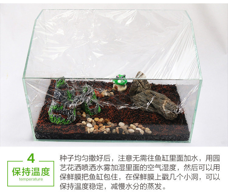 Водяная трава семя_11