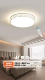 Гнездо белой птицы 50 см Wuji Lighting+Control 48w