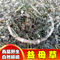 2024 Liaoning wild Chinese medicinal material Motherwort Motherwort four-sided grass hand-cut into sections and naturally dried 500g