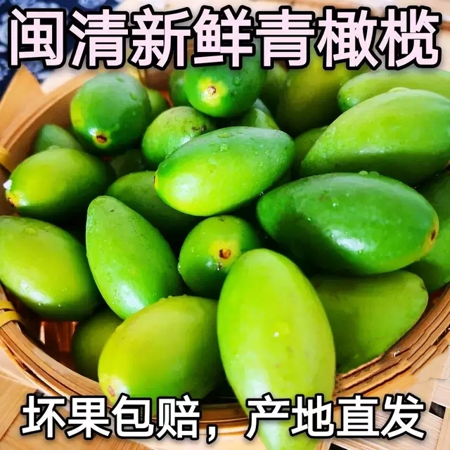 Fresh Minqing green olives Fuzhou Minhou sheng eat olives back to the sweet pot stew soup green fruit Fujian fruit is now picked and hairy