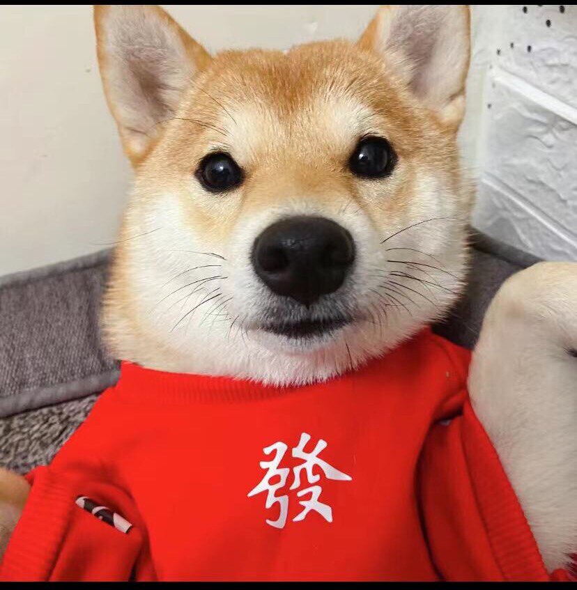 WP爱简衣橱