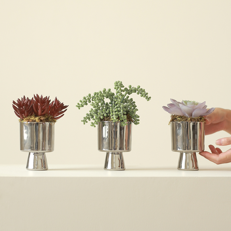 Ladylike Succulent Small Potted Plant Money Bean Artificial Green Plant Living Room Decoration Artificial Flower Homestay Model Room Ladylike Succulent Small Potted Plant Money Bean Artificial Green Plant Living Room Decoration Artificial Flower Homestay Model Room