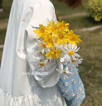 Inwind emulation hand hold flower small daisy 5 head Dutch Chrysanthemum Writing True Photography Prop Simulation Flower Decoration Pendulum Flower Arrangement Flower Arrangement Flower Arrangement Flower Arrangement Flower Arrangement Flower Arrangement