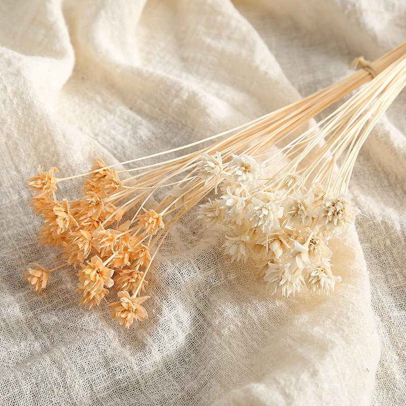 ���������ɻ���