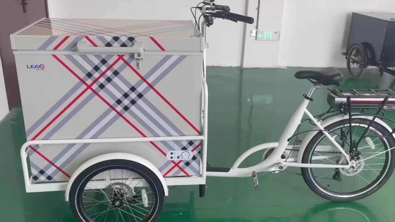 Adult Cargo Tricycle Coffee Vending Trike Food Cart Euro 3 Wheel Coffee