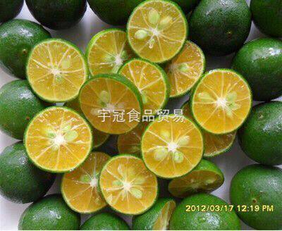 Spot Hainan fresh small green gold orange lemon milk tea juice cold drinks coffee shop with constant stock Southeast Asian cuisine