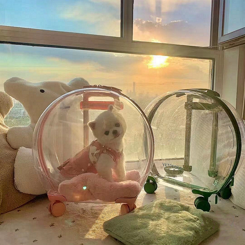 Unka Bubblebox Pets Out of portable Carry-on Luggage Large Capacity Space Cabin Small Dogs With Cat Bag