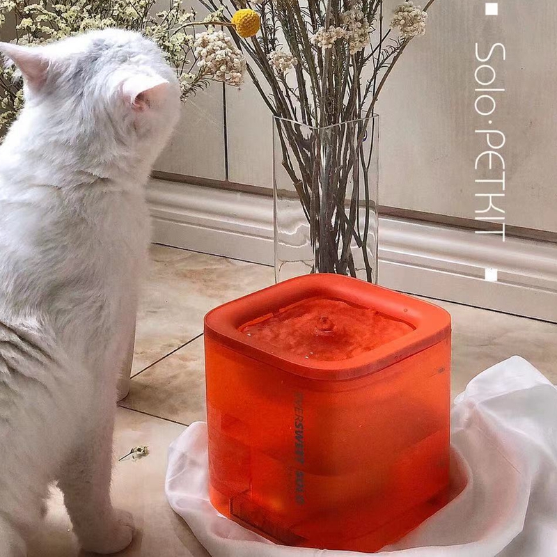 Smart Safe Electric Automatic Cycle Living Water mute Fountain Purification Feeder small Pesolo Kitty Water Drinkler