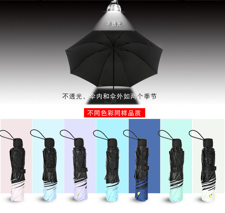  晴雨伞_07.jpg
