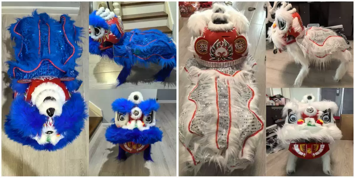 【舞狮服】宇树Unitree智能AI机器狗G02AIR&PRO醒狮服狮子狗定制-淘宝Taobao | 天猫Tmall
