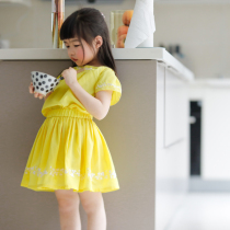 (Persimmon Ti) spot elegant lady summer French embroidery dress ~ insect ring home