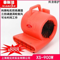 Kitchen Hair Dryer Dryer Carpet Powerful Blow-drying Machine Blow Ground Blower Aroma XS-900W 900L