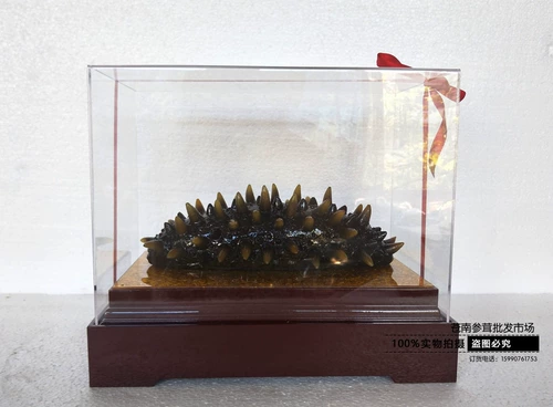 Моделирование модели морского огурца модель модели огурцы