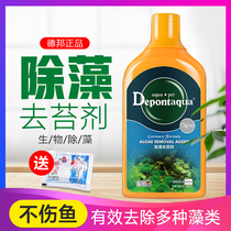 Debang fish tank algaecide removal agent does not hurt the fish green algae brown algae black hair Moss green water Algaecide