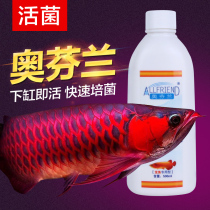 Oranto Finland nitrifying bacteria goldfish red dragon fish Silver Dragon super blood pepper fish tank digestive bacteria