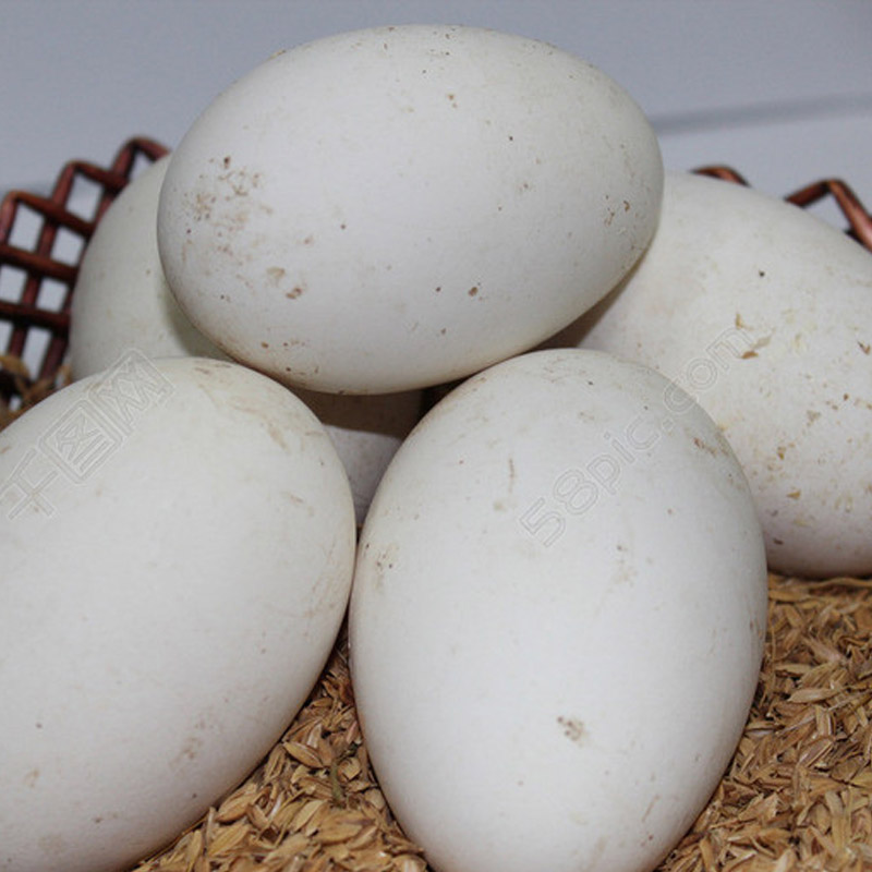 Goose Egg Goose Egg Raw Goose Egg Pregnant Woman to Fetal Poison Five Valleys Feeding Goose Eggs 1 Price to purchase 10