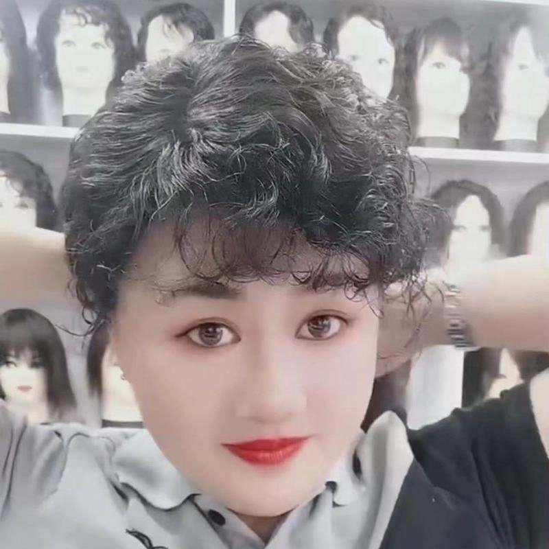 Real Hair Bangs Wig to Cover Gray Hair, Ultra-Light and Thin Real Hair Wide-Brimmed Wig, New Style for Women Aged 60 to 70 Real Hair Bangs Wig to Cover Gray Hair, Ultra-Light and Thin Real Hair Wide-Brimmed Wig, New Style for Women Aged 60 to 70