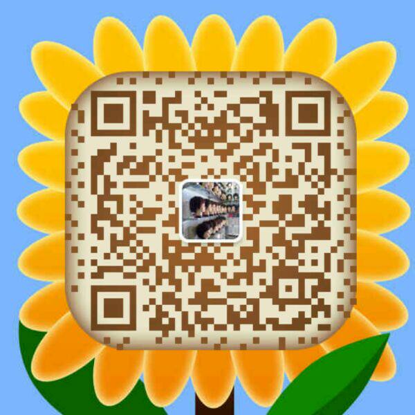 Extension cheveux - Chignon - Ref 241321 Image 5