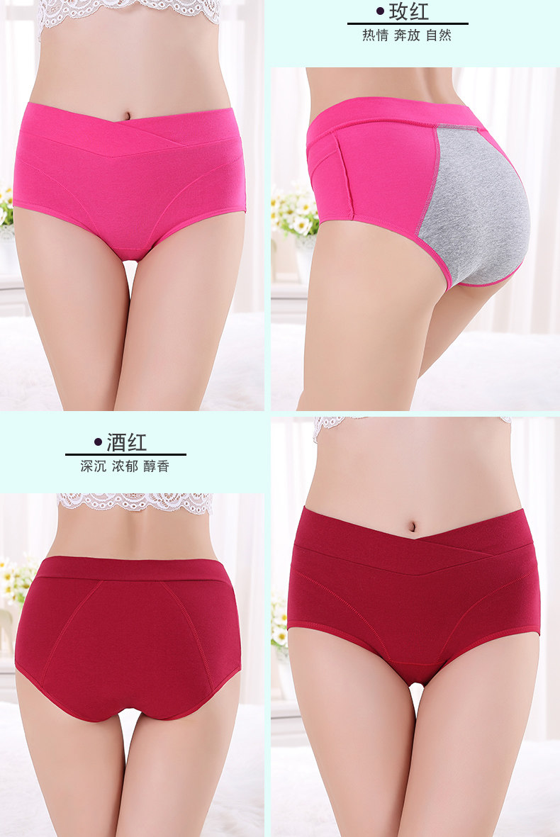 Slip en coton - Ref 666518 Image 15