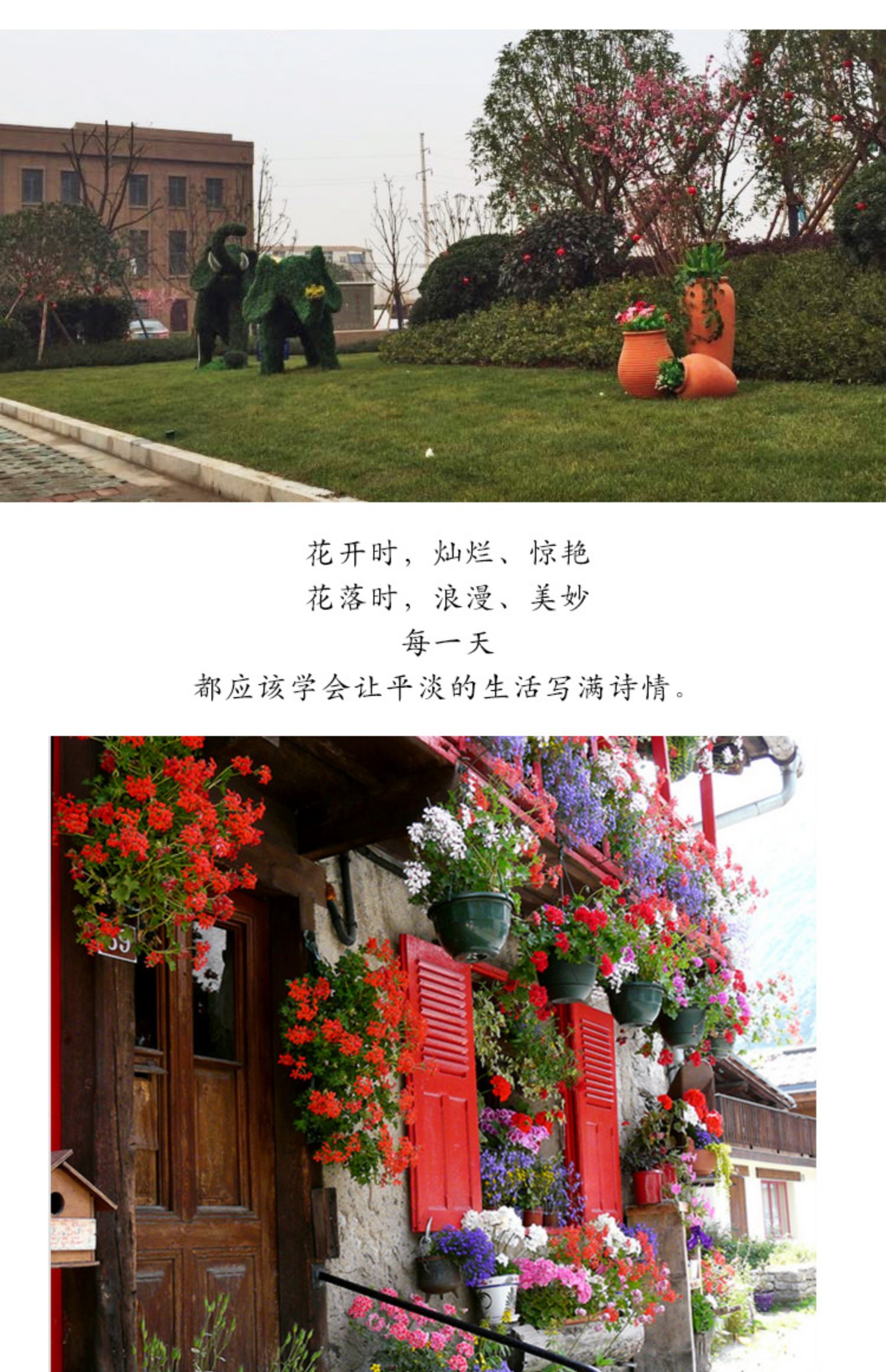 Vườn gốm đỏ chậu cảnh vườn gốm chậu chậu gốm dày kết hợp [bồi thường thiệt hại] - Vase / Bồn hoa & Kệ chậu nhựa hình chữ nhật