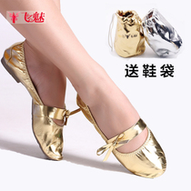 Belly dance shoes adult soft-soled exercise shoes oriental dance Indian dance shoes childrens dance shoes elastic ballet shoes