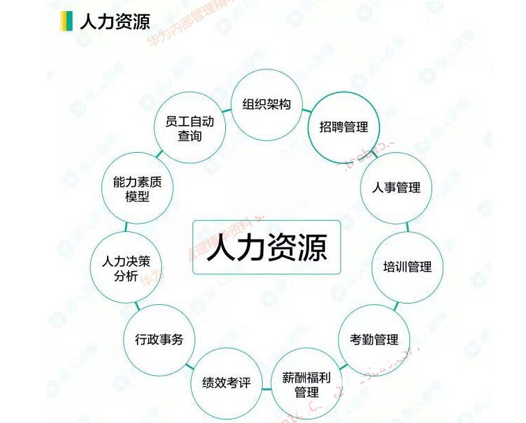 华为内部管理精华教程