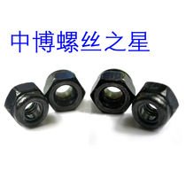 Blackened Nylon lock nut M2 3 4 5 6 8 101214161820222427303336394248