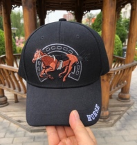 Foreign trade export 3D horse embroidered hat equestrian sun hat cap western cowboy hat Knight equipment wo Qi horse