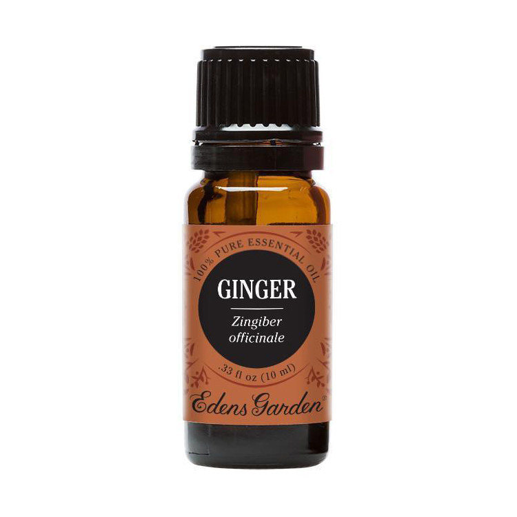 Ginger-1.jpg