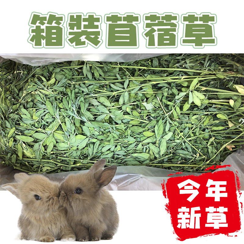  Grade A 21 year Stubble Purple Flowers Clover Grass 1kg Rabbit Dragon Cat Dutch Pig Guinea Pig box to dry grass Shepherd