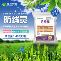 5 billion grams of Linling lilac penicillium drip irrigation microbial bacteria large ginger fruit trees inhibit root knot nematode